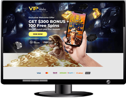 VIP Stakes Casino Website