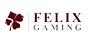 Felix Gaming